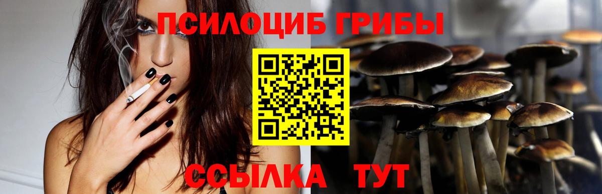 Кинель  Галлюциногенные грибы мицелий  Вход с VPN 
